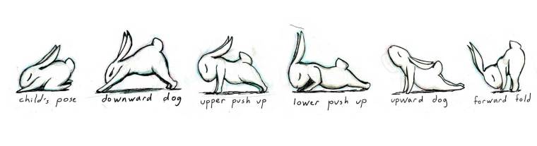 bunny-yoga.jpg