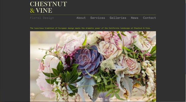 chestnut & vine homepage